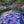 Graffiti Beach Towel - OFF-ROAD VIXENS CLOTHING CO.