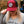 Load image into Gallery viewer, Race Life Trucker Hat - Maroon - OFF-ROAD VIXENS CLOTHING CO.
